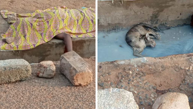 Man stoned to death for stealing cat in Tema