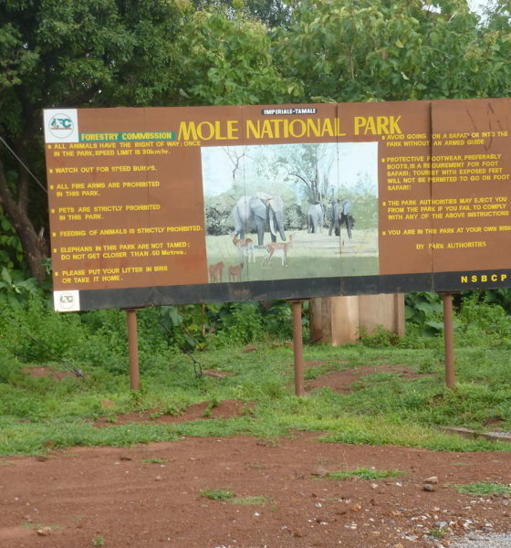 Ghana's top 5 national parks
