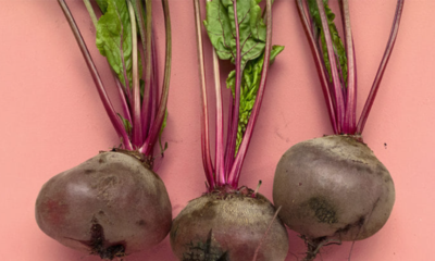 What Your Doctor Won't Tell You About Beetroot