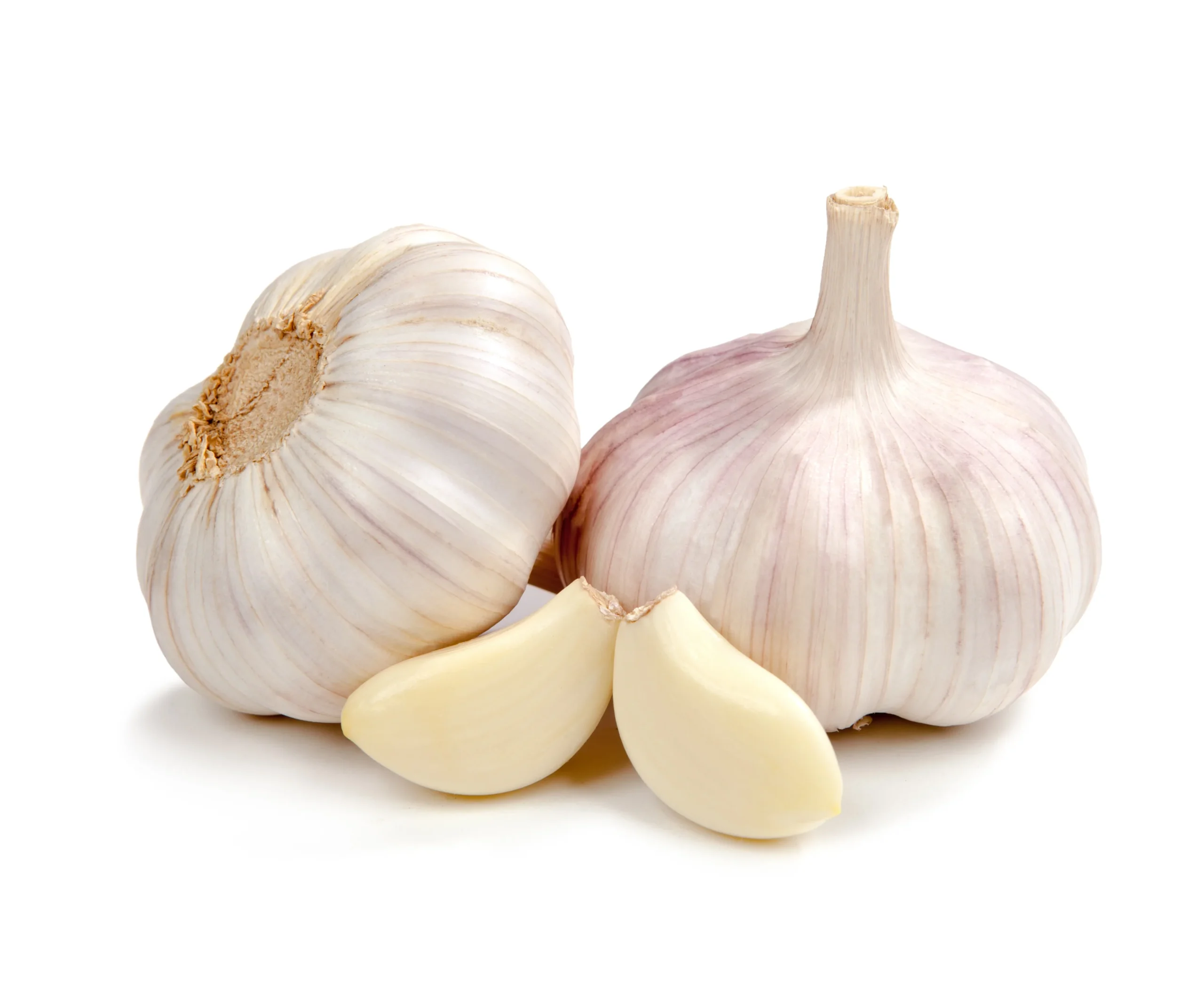 Garlic - Accramail